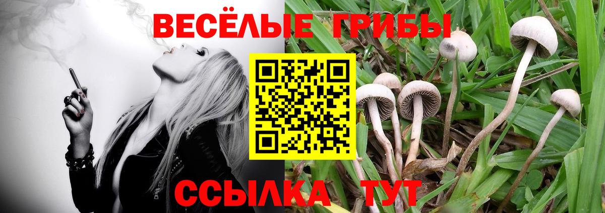 Галлюциногенные грибы прущие грибы Норильск
